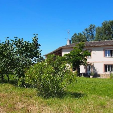 La Case A Jane, Gite Familial En Pays Tarnais Coufouleux Zewnętrze zdjęcie
