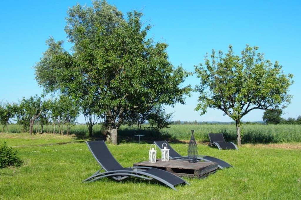 La Case A Jane, Gite Familial En Pays Tarnais Coufouleux Zewnętrze zdjęcie